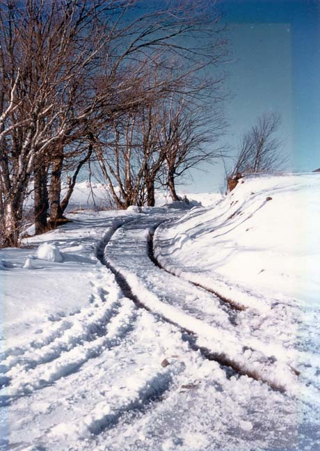 color photograph: snowscappe