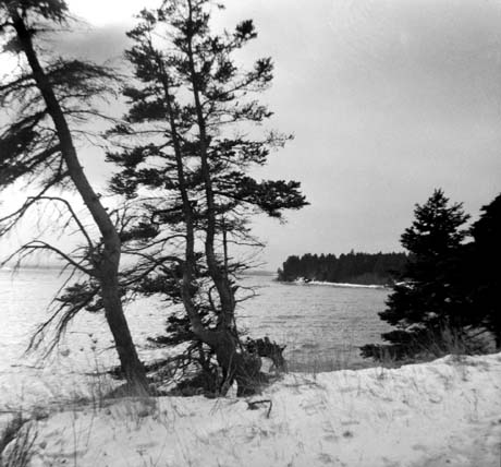 grayscale photograph: snowscape