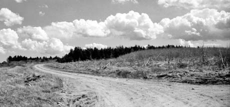 grayscale photograph: gravel road with puffy clouds in distance