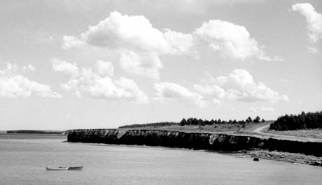grayscale photograph: a landscape with puffy clouds