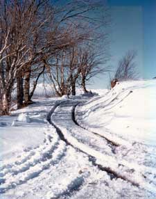 color photograph: Snowscape Scene