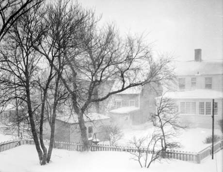 grayscale photograph: snowstorm