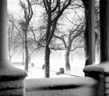 grayscale photograph: snowstorm