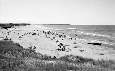grayscale photograph: beach scene
