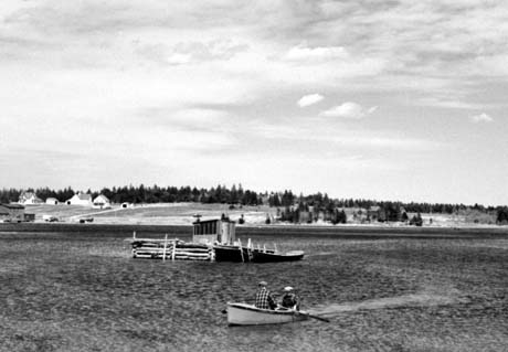 grayscale photograph: row-row row the boat with an idylic backdrop