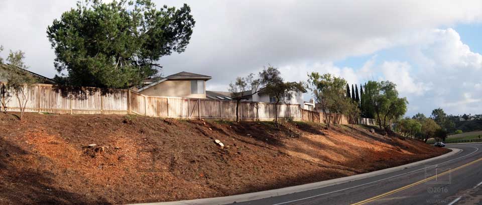 A curved road along which all vegetation and all but a few trees have been removed between sidewalk  and property fences