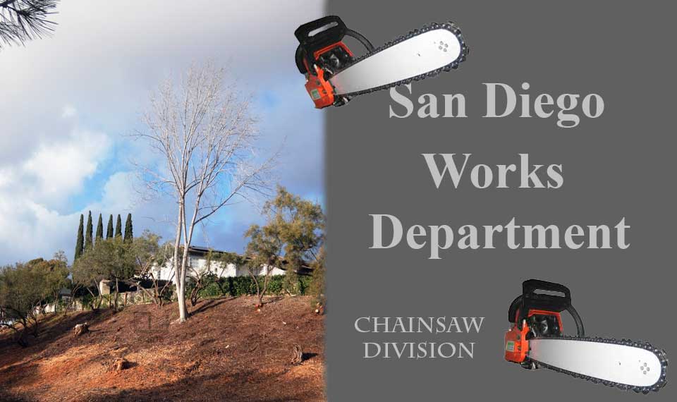 Image of de-vegetated hillside, 2 Chainsaws, and title - San Diego City Works - Chainsaw Division