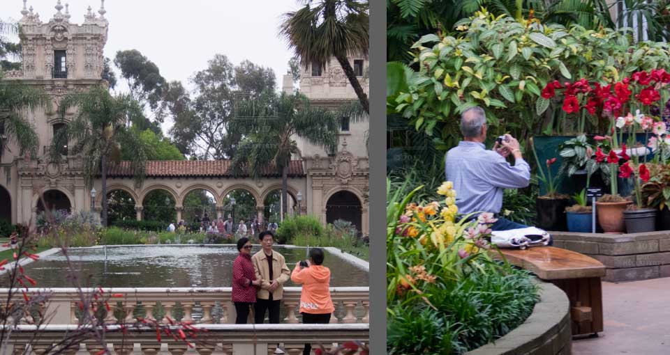 Two images: Woman taking picture of couple on Lily Pond walkway - Man taking picture of colorful flowers