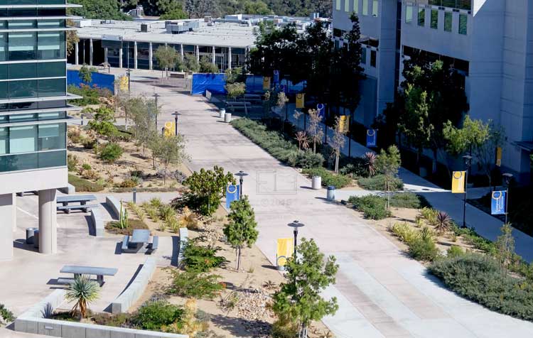 Elevated overview of the distant fencing from the LRC