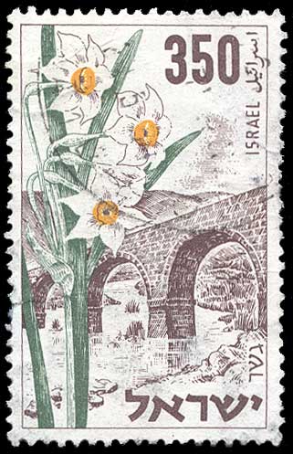 Color scan: Postage stamp of Israel