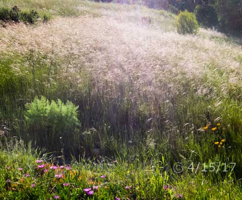 Color photo: Passengers boarding the Coaster train at Santa Fe station - Embedded text: 3/27/17