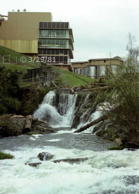 Color photo: Portrait view of multi-story building and water/beer storage silos with waterfall in foreground - Embedded text: 3/29/81