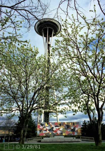 Color photo: Ground level view of Space Needle viewed through the budding branches of nearby trees - Embedded text: 3/29/81
