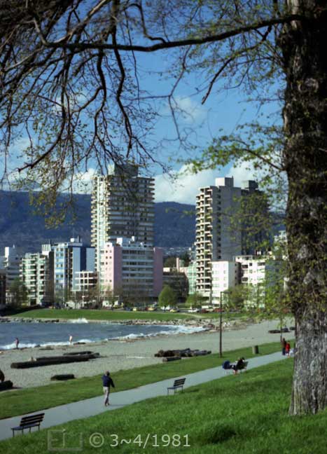 Color photo: Portrait view of walkway along beach and apartment blocks in distance - Embedded text: 3~4/1981
