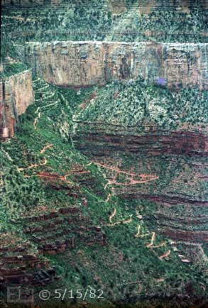 Color photo: Hiking trail of many switchbacks descending canyon wall - Embedded text: 5/15/82