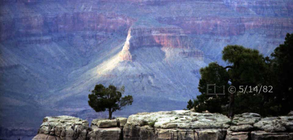 Color photo: Trees upon a limestone islet in foreground with spotlighted Grand Canyon rock formation in background - Embedded text: 5/14/82