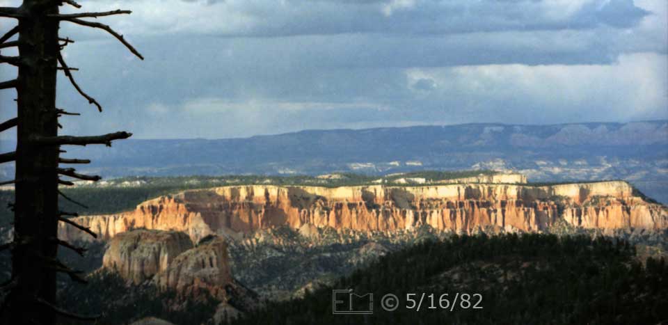 Color photo: Late afternoon view of rock formations with dead tree in foreground - Embedded text: 5/16/82