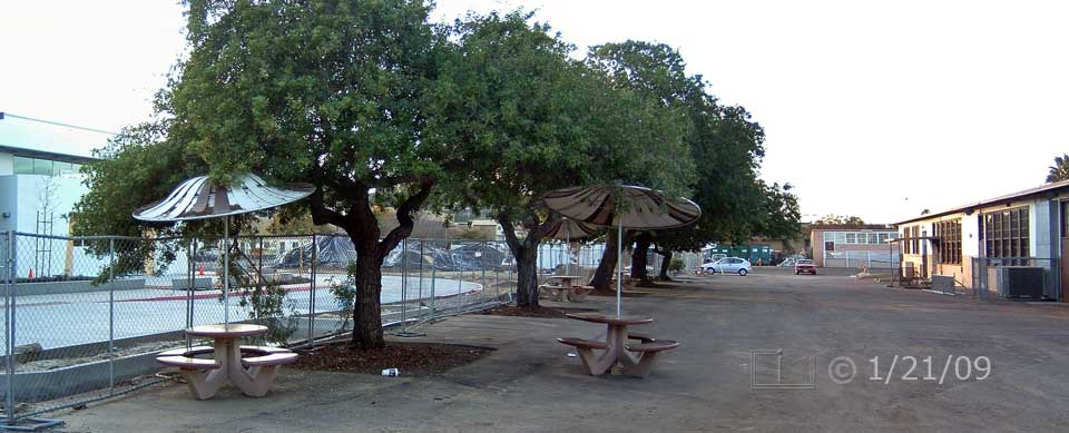 Color photo: Fence and line of trees separating new and old West City buildings - Embedded text: 1/21/09