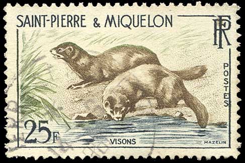 Color scan: 25 franc postage stamp