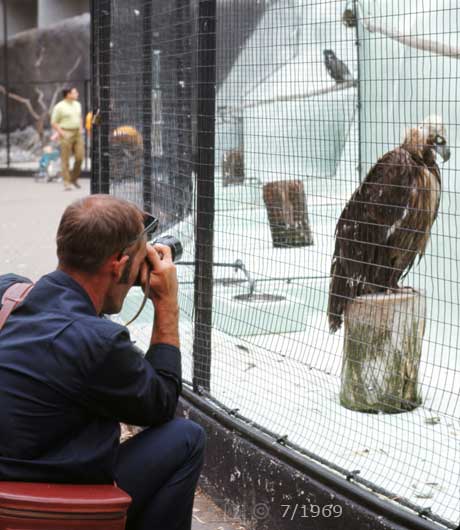 Color photo: Photographer photographing caged bird - Embedded text: 7/1969